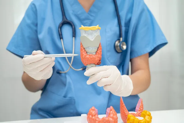 How do Goitrogens Affect Iodine and the Thyroid