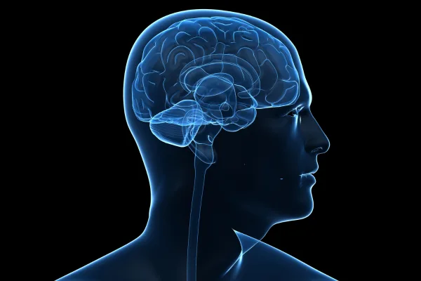 What is Hypothalamic Obesity