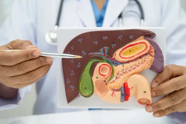 Fatty Liver vs Fatty Pancreas: What’s the Difference?