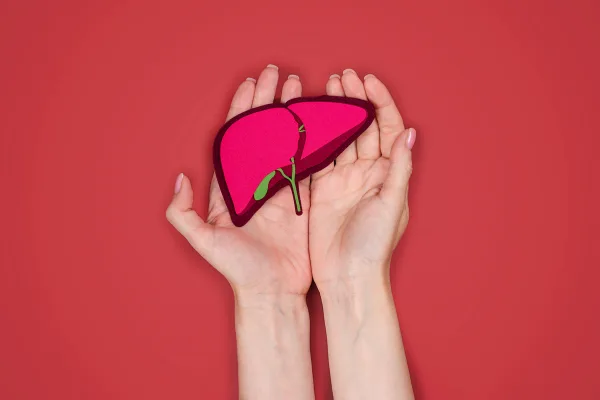 How the Liver Talks to Hormones: Glucagon, Insulin, and Fat Metabolism